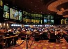 Caesars Entertainment sports betting app